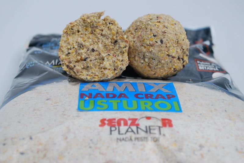 Senzor - amix-usturoi.jpg